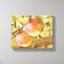 Pesquisar por fruta vermelha impressão de canvas Qualquer pessoa