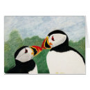 Pesquisar por papagaio colorido cartoes postais Animais selvagens