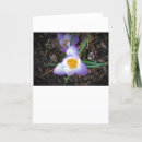 Pesquisar por crocs cartoes Croco