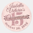 Pesquisar por sparkle adesivos Quinceanera