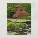 Pesquisar por jardins japoneses cartoes postais Árvores