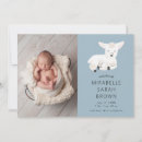 Pesquisar por cordeiro convites Menina