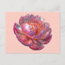 Pesquisar por luminoso cartoes postais Flor