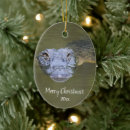 Pesquisar por jacaré para ornamentos Animal