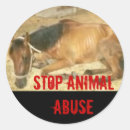 Pesquisar por pare o abuso animal Gatos