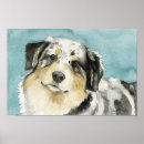 Pesquisar por australiano artes pósteres Cão