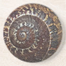 Pesquisar por caracol porta copos Casca