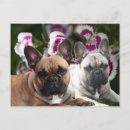 Pesquisar por ostern cartoes postais Tiere