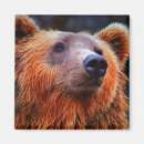 Pesquisar por cor preta imas Animal