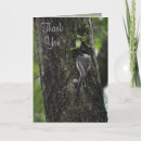 Pesquisar por janz cartoes Qualquer pessoa