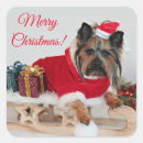 Pesquisar por yorkshire terrier adesivos Cachorros