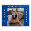 Pesquisar por de bull terrier escritorio escola Fofofo