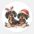 Pesquisar por dachshund natal adesivos Cão salsicha