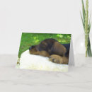 Pesquisar por dackel cartoes Dachshund