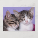 Pesquisar por dois gatinhos cartoes postais Interior