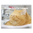 Pesquisar por gatos calendarios Animal