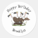 Pesquisar por abutres adesivos Bico