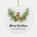 Pesquisar por fotos da coruja ornamentos Feriado