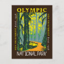 Pesquisar por washington cartoes postais Floresta tropical