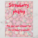 Pesquisar por morangos flyers Fruta