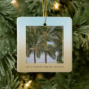 Pesquisar por palmeiras ornamentos Hawaii
