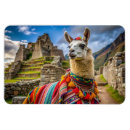 Pesquisar por picchu machu imas Viagem