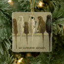 Pesquisar por macaco ornamentos Para todos