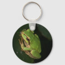 Pesquisar por árvore verde chaveiros Sapo