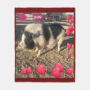 Pesquisar por de porco mantas Qualquer pessoa