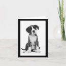 Pesquisar por boxer puppy cartoes postais Cachorro
