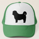 Pesquisar por tzus bones Shihtzu