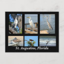 Pesquisar por cegonha branca cartoes postais Qualquer pessoa