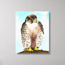 Pesquisar por falcoaria pósteres Aquarela