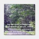 Pesquisar por conservação imas Árvores