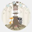 Pesquisar por chá de fraldas da floresta adesivos Guaxinim