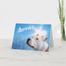 Pesquisar por pitbull branco cartoes Animais