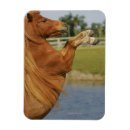 Pesquisar por miniaturas imas Bob langrish