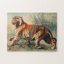 Pesquisar por tigre de bengal Animal