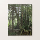 Pesquisar por trilha fotografia Floresta