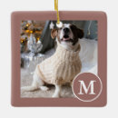 Pesquisar por avermelhado ornamentos Para todos