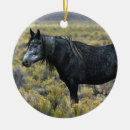 Pesquisar por cavalo mustang de natal decoração Deserto