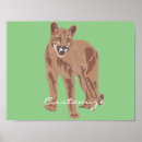 Pesquisar por puma pósteres Leão da montanha