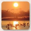 Pesquisar por cisne porta copos Lago