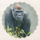 Pesquisar por jardim zoológico porta copos Gorila