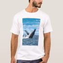 Pesquisar por camisas da baleia pôsteres pósteres Original
