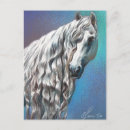 Pesquisar por cavalo andaluz cartoes postais Equino