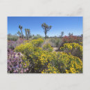 Pesquisar por deserto de mojave cartoes postais Eua