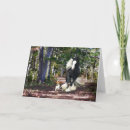 Pesquisar por cavalo cigano cartoes Cavalos