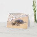 Pesquisar por honu cartoes Tartaruga