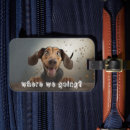 Pesquisar por cachorros bagagem tags Animal